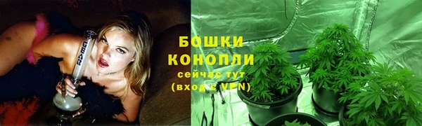 ECSTASY Белокуриха