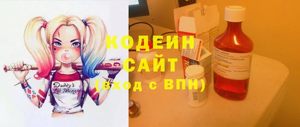 индика Алапаевск
